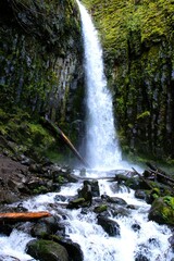 Side view of waterfall cascading down between to massive mossy basalt rock faces into a lush temperate rainforest.