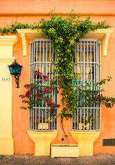 Fototapeta na wymiar Windows in Cartagena Colombia