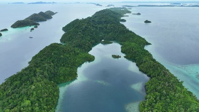 Rock islands, surrounded by coral reef, rise from Raja Ampat's tropical seascape. This scenic part of Indonesia is known as the heart of the Coral Triangle due to the marine biodiversity found there.