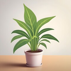 indoor plant in a pot