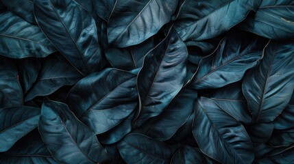 Elegant dark green leaves texture background providing space for text or design elements. Nature and environmental conservation.