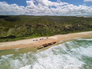 Aerial view of the S.S. Maheno Shipwreck along 75 mile beach on the sand island of K’gari, Queensland, Australia