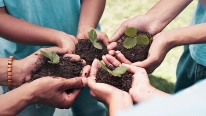 Hands, volunteers and team soil for plant growth, nonprofit and earth day in outdoor nature. People, closeup and sustainability or accountability for climate change, solidarity and collaboration