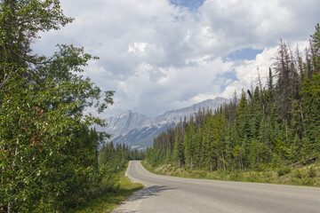 A Road in the Rocky Mountains