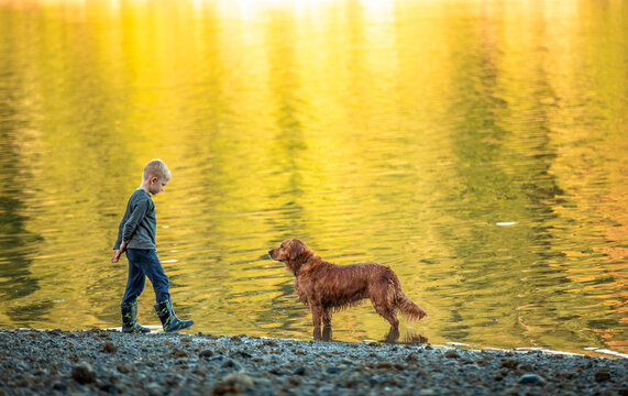 Boy and his dog playing together outdoors at sunset 