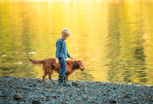 Child boy and his dog walking together at sunset 