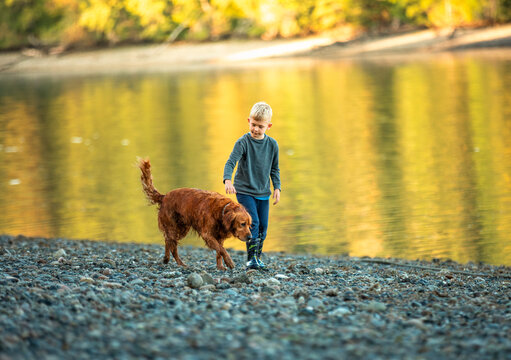 A boy person and his dog walking together at sunset 