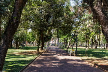 Exuberante Parque José Affonso Junqueira - POÇOS DE CALDAS, MG, BRAZIL - JULY 18, 2023: Beautiful José Affonso Junqueira Park with its exuberant vegetation, with large trees and ornamental plants.