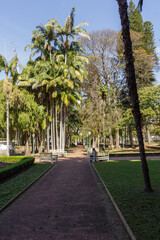 Obraz premium Corte vertical do Parque José Affonso Junqueira - POÇOS DE CALDAS, MG, BRAZIL - JULY 18, 2023: Vertical section of the José Affonso Junqueira Park, it stands out for its scenic value and vegetation.