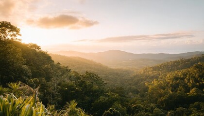 tropical forest landscape