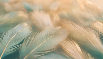 gorgeous texture background with a dark green blue feather pattern