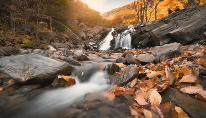 autumn mountain waterfall stream in the rocks with colorful fallen dry leaves landscape