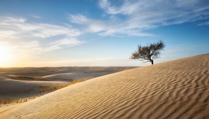 stunning view of rippled sand dunes and lonely tree growing under amazing blue sky at drought desert landscape global warming concept nature background