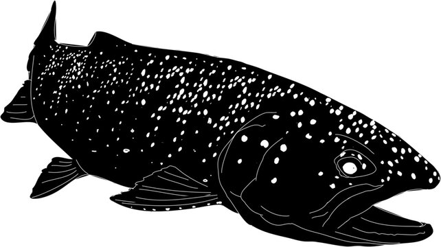 black fish with white spots clip art preview