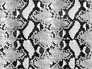 Snake skin pattern and repeating Seamless. Animal print and textile design. illustration. Texture snake. Fashionable print.
