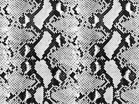 Snake skin pattern and repeating Seamless. Animal print and textile design. illustration. Texture snake. Fashionable print.
