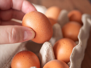 Close-up of Hand Picking Egg from Carton