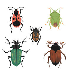 vector drawing set of bugs, beetles, hand drawn insect isolated at white background