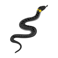 vector drawing ringed snake isolated at white background, hand drawn illustration - 775521642