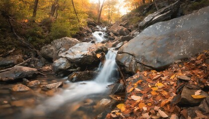 autumn mountain waterfall stream in the rocks with colorful fallen dry leaves landscape