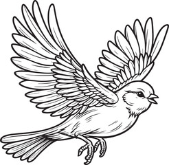illustration of a bird