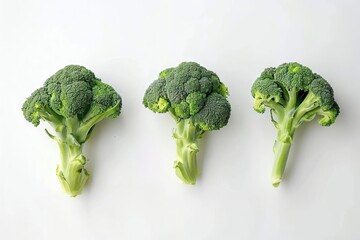 Fresh green broccoli florets arranged on white background, healthy food collection - obrazy, fototapety, plakaty