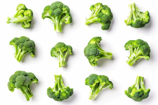 Fresh green broccoli florets arranged on white background, healthy food collection