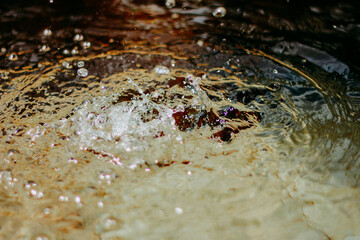 Water splashes in the koi fish pond