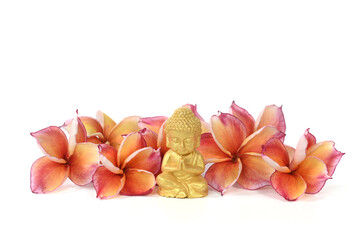A little Buddha statue with beautiful plumeria flowers isolated on a white background
