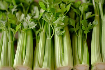 Fresh green celery with water droplets