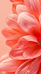Detailed capture of peach flower petals with soft lighting creating a vibrant backdrop. Background, wallpaper.