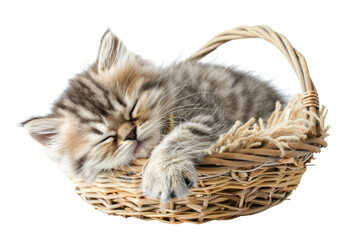 Fototapeta na wymiar Persian kitten sleeping in a basket, Isolated on a transparent background.