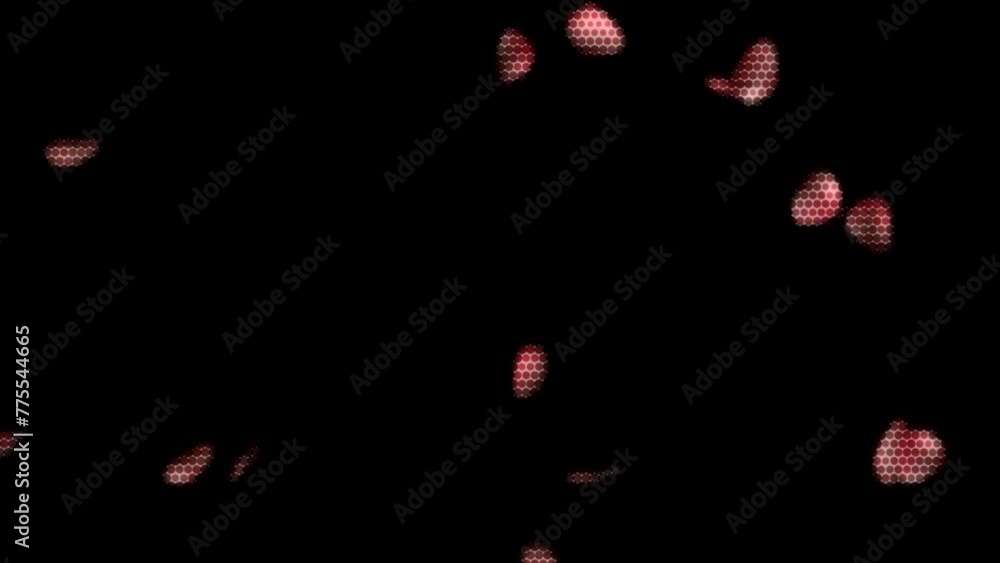 Poster motion background matrix style randomly generated particles sparks light rays star bursts vortex