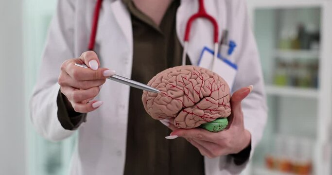 Neurologist doctor giving a detailed overview of the human brain in the clinic