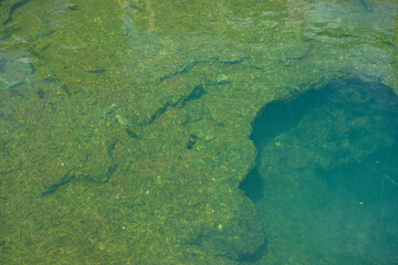 wall spring park