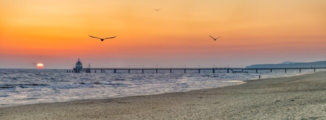 Orangener Sonnenaufgang über der Ostsee Seebrücke Zinnowitz auf Usedom, mit Möwen im Flug über dem Meer.