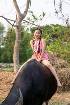 Thai children in farmer outfits are learning how to sit on buffalo to control them for plowing fields, experiencing the Thai farmer's way of life.