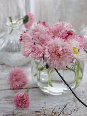pink flowers in a vase