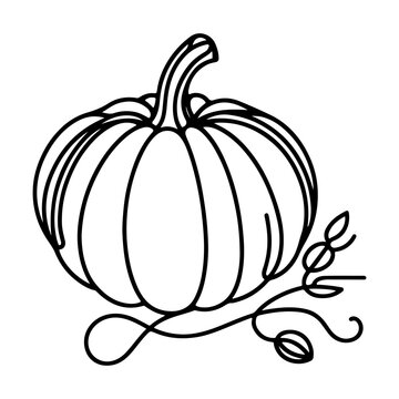 Continuous one black line drawing of pumpkin Halloween autumn harvest outline sketch doodle for coloring vector on white background
