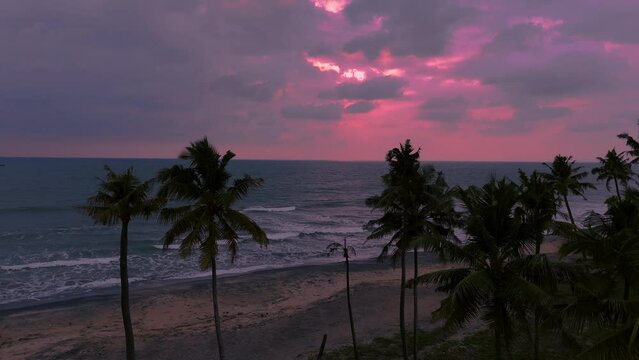 Cloudy Sunset in a beach with coconut trees