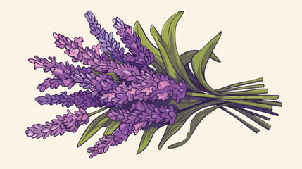 Fototapeta premium Lavender bouquet sketch. Hand-drawn cartoon flower