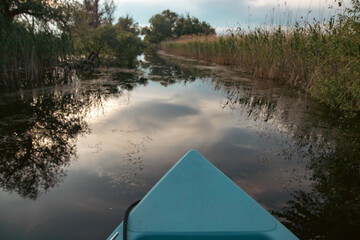 Beautiful reed landscape in Danube Delta, Romania - 775569895