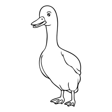 duck outline vector illustration