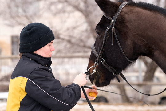 Person feeding apple to horse in snowy setting.