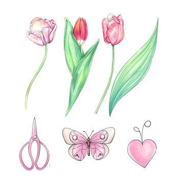Watercolor tulips clip art. Romantic springtime flowers. Cartoon butterfly. Hand drawn illustration