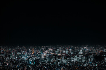 Obraz premium The great city of Asia, Tokyo!