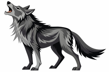 Fototapeta premium the wolf howling white background 