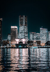 Obraz premium The great city of Asia, Tokyo!