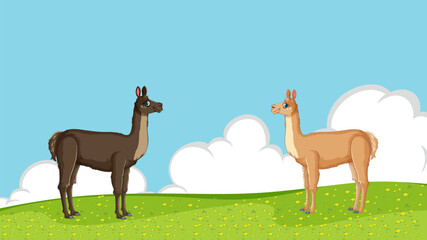 Naklejka premium Two llamas standing in a field with blue sky