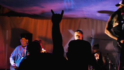 Live musical performance in a nightclub. Vivid image capturing a live musical performance with an energetic crowd.